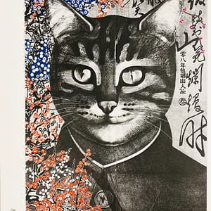 Portrait de Chat