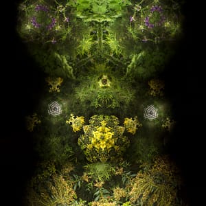 Jardin Espiègle 1, edition 2/3